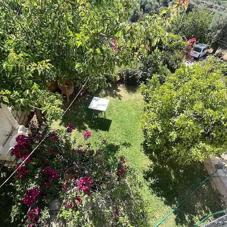 Daire Olive Garden Zeytin Ev