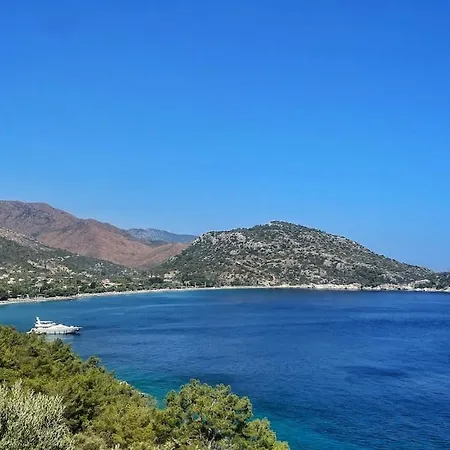 Daire Olive Garden Zeytin Ev Datça